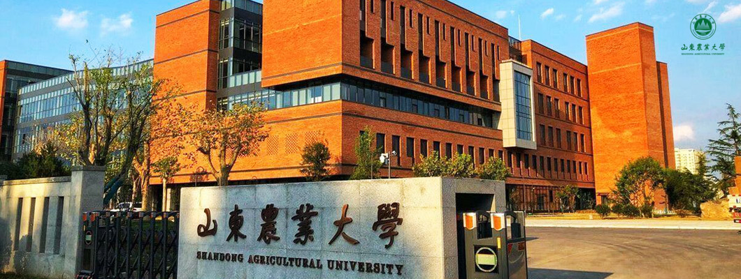 山东农业大学